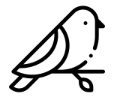 Bird Pet Micro-Chipping Service